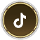 btn tiktok